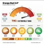 Cannabis seeds Orange Bud 2.0® NEW! from Dutch Passion